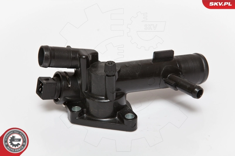 Thermostat, coolant